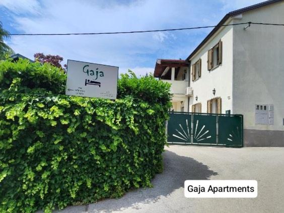 Gaja & Sara Apartments Kozina Zewnętrze zdjęcie